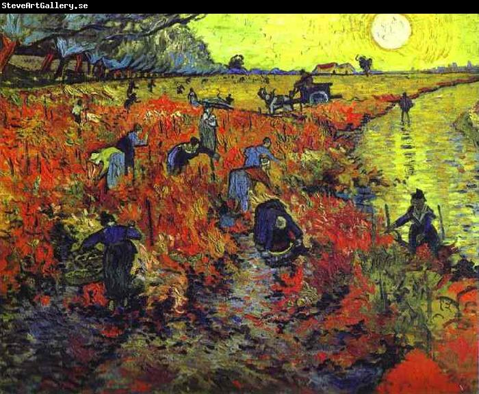 Vincent Van Gogh The Red Vineyard